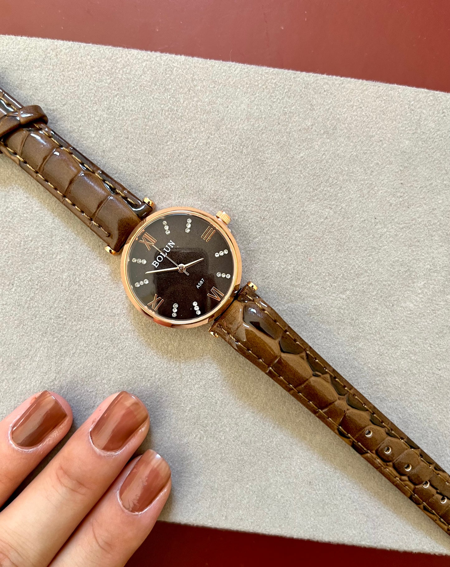 CLASSIC BROWN WATCH