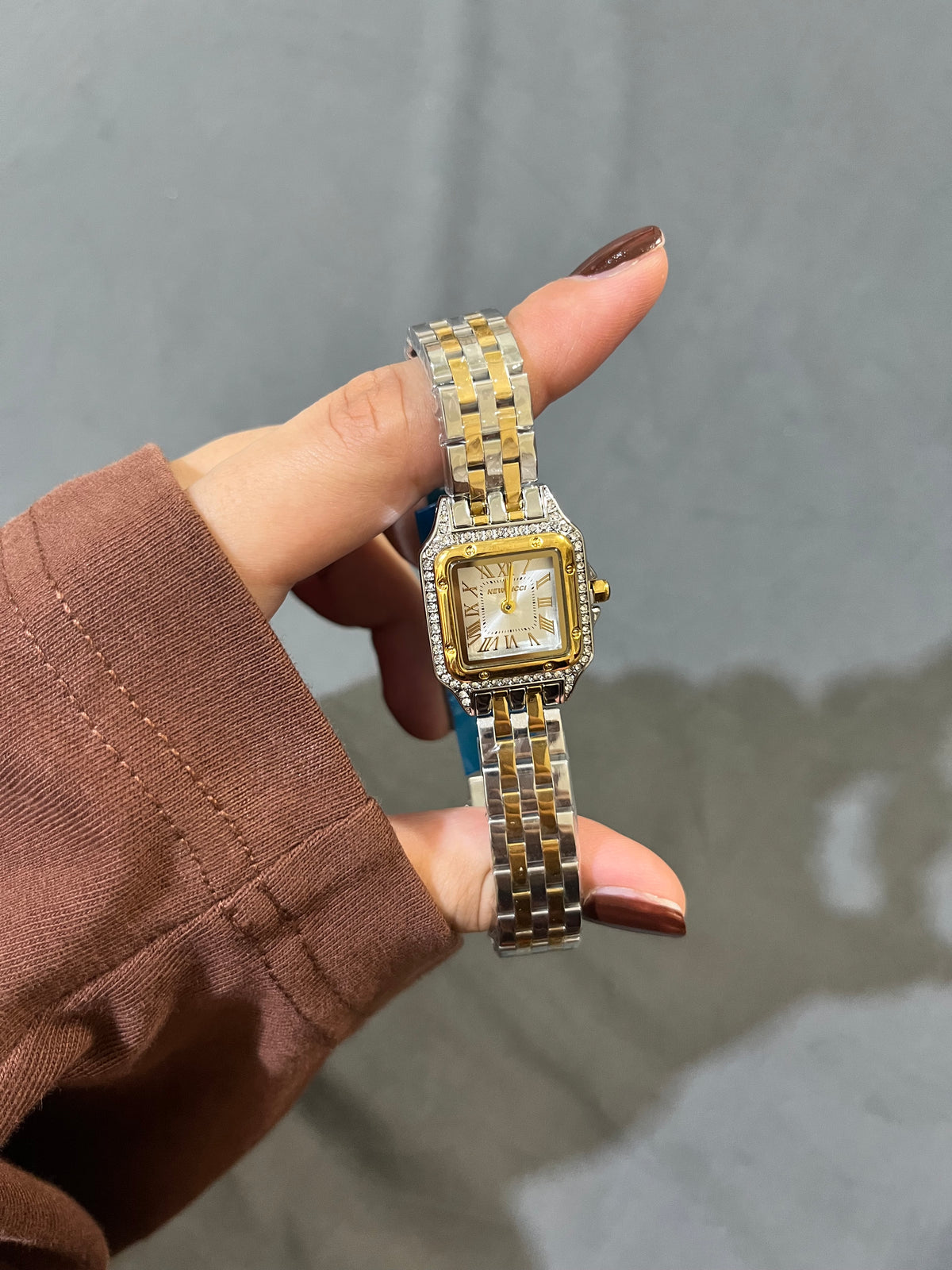 Panthere De Mains Watch-dichromatic