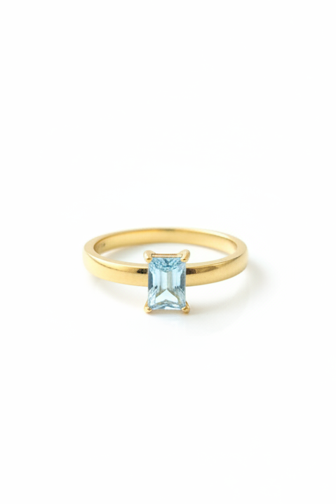Aurelia steel ring